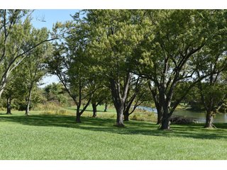 Property photo 31 - Tillable, Pasture, Recreational, Hunting and Fishing Property  